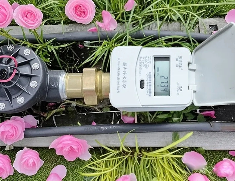 杭州“頂流”驚艷全國,山科如何守護城市“空中花廊”